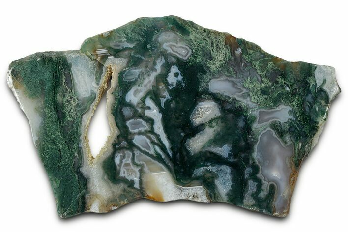 Polished Bear Creek Moss Agate Slab - Oregon #334986